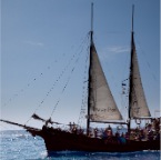 Teneriffe - Playa de las Americanos54