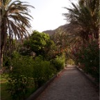 El Cabrito (Gomera)_071