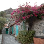 El Cabrito (Gomera)_028